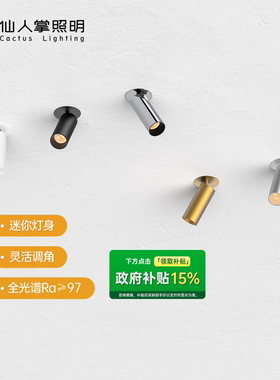 【政府补贴】仙人掌照明迷你40mm嵌入式小筒射灯可调角led氛围灯