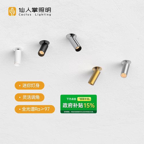 仙人掌照明40mm嵌入式可调角射灯