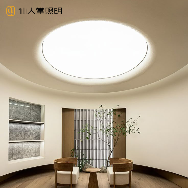 仙人掌照明软膜天花专用无边框透光膜吊顶定制家居室内led灯