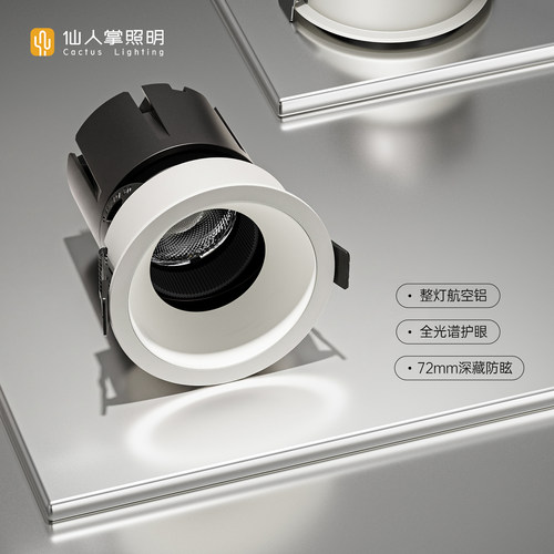 仙人掌照明护眼防眩射灯简约客厅