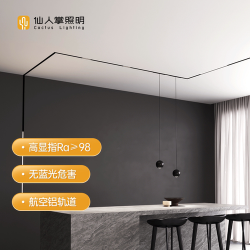 仙人掌照明全光谱嵌入磁吸轨道