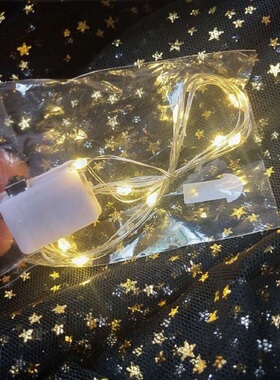 led铜线灯星星灯防水彩灯串饰房间创意卧室花束礼盒3功能闪灯