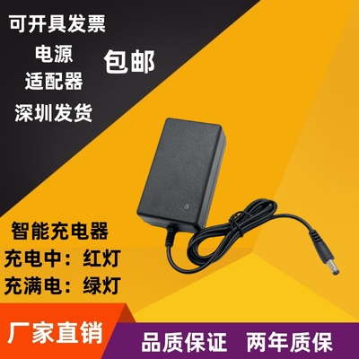 儿童电动滑板车25.2V充电器