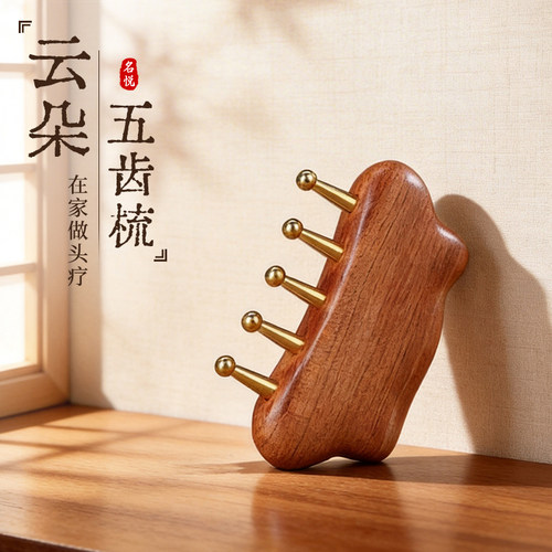 丰林云朵五齿按摩头部经络梳子头部按摩男女刮痧头皮防宽齿刷脱发