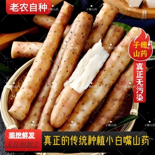 河北正宗小白嘴农家自种产地直发铁棍山药铁杆怀山药新鲜粉糯5斤