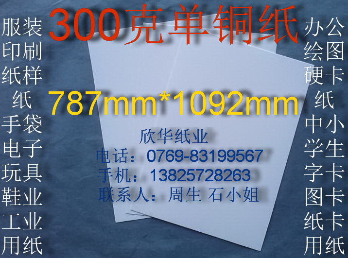 300克单铜纸 办公用纸 衬衣纸 纸样纸全开(787*1092mm)￥3元/张