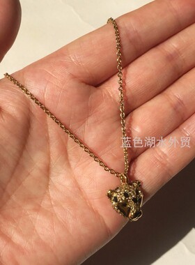 AS-SS-025 镀真金 精美个性!外贸出口美国轻奢大p原单 项链首饰