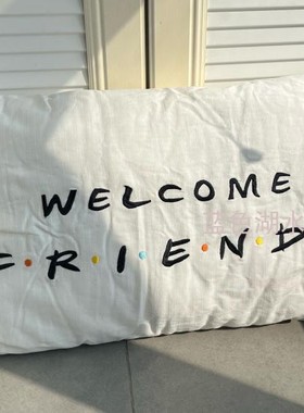 JJZS-YZ-034 美单!满满的情怀!外贸出口美国原单大腰靠腰枕(含芯)