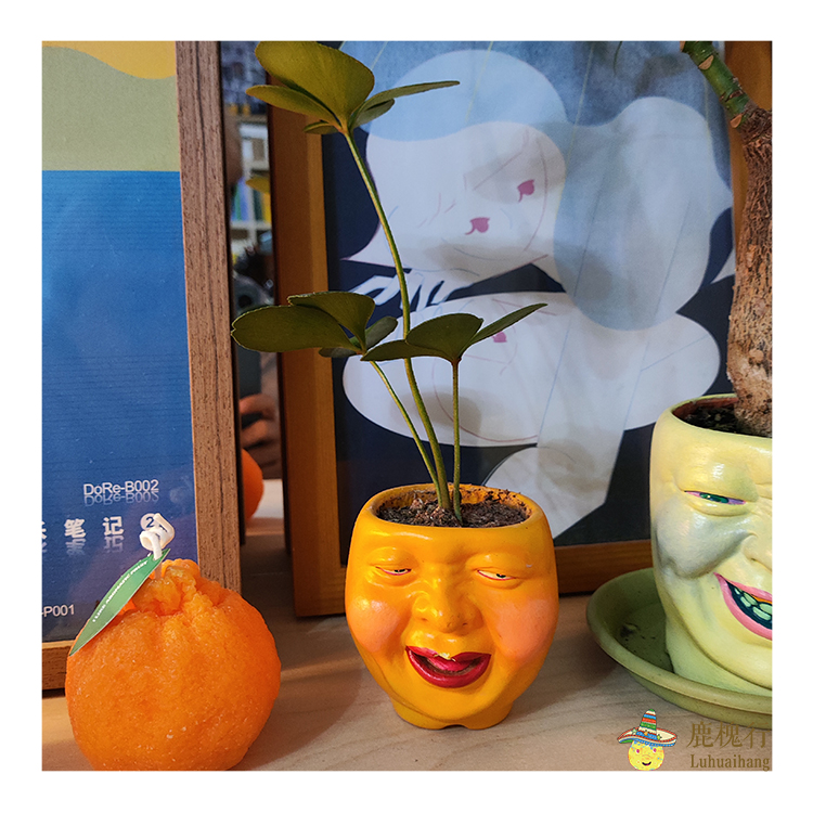 鹿槐行小物 shinobu表情花坛憨憨脸花盆