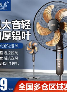 大尺寸大风力落地扇遥控摇头定时