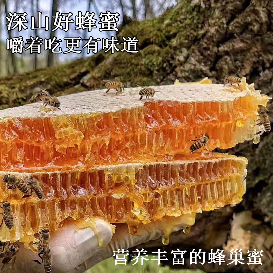 中国土蜂蜜生态天然野生蜜深山农家野百花食用成熟液态蜜1斤装
