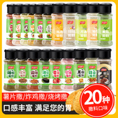 番茄粉撒料油炸土豆洋芋条山药膨化食品外撒粉薯片炸鸡调料甘梅粉