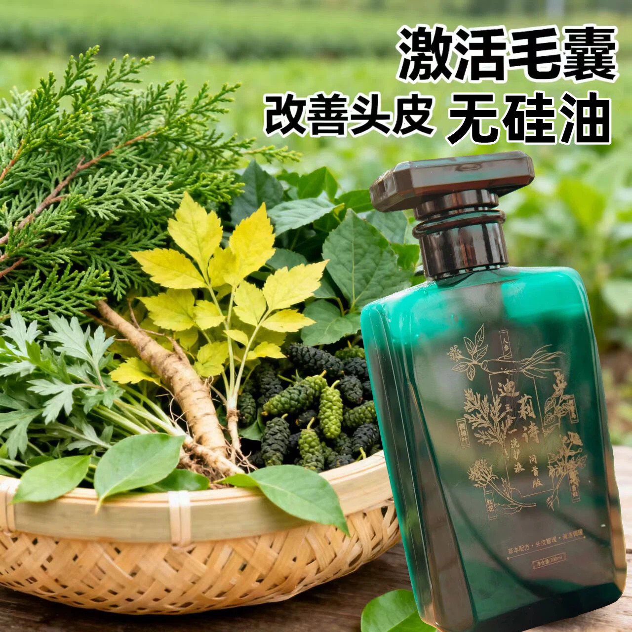 迪莉诗无硅油头皮易吸收滋养毛囊