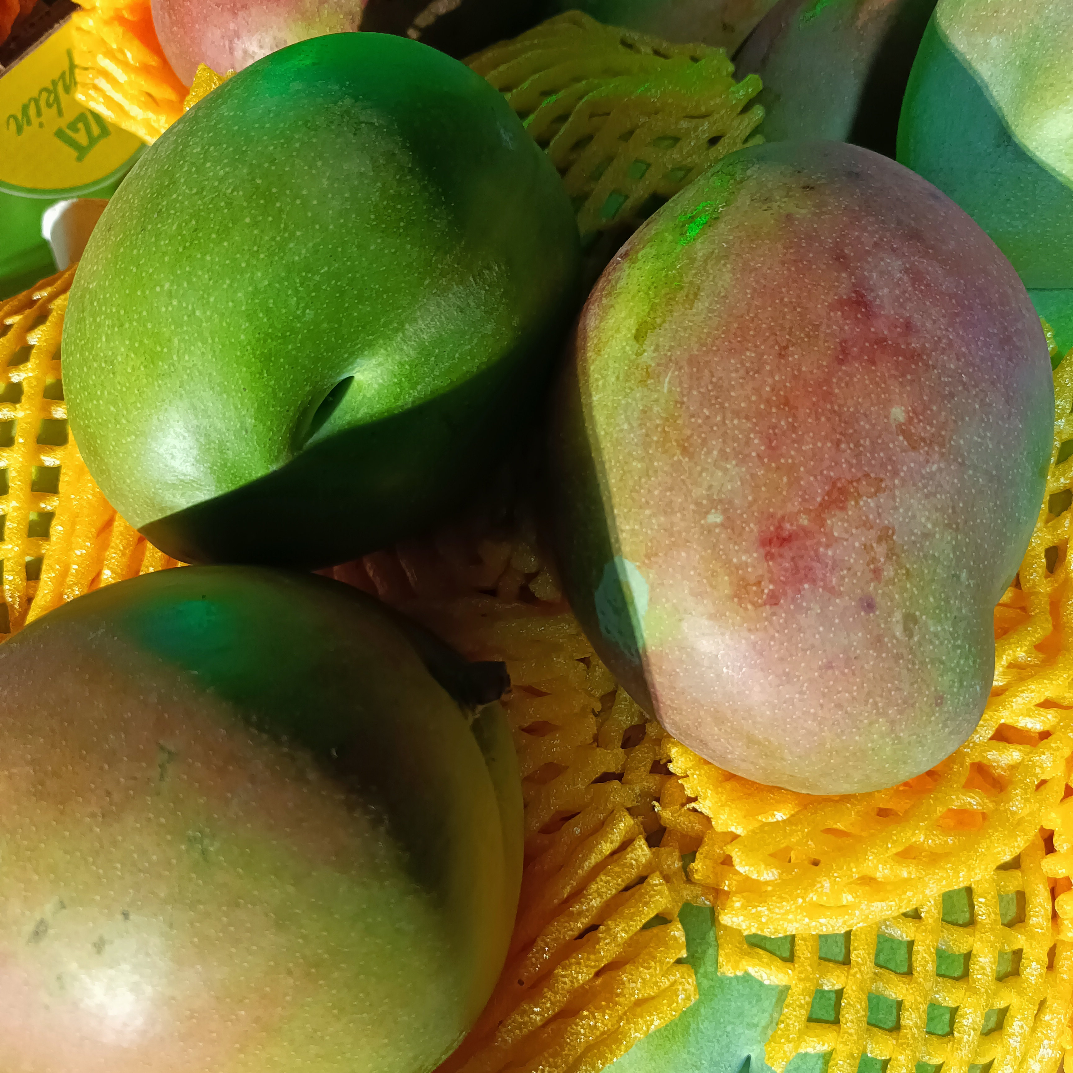 2025当季现摘现发新鲜水果汁多皮薄肉厚清甜爽口四川凯特芒果包邮