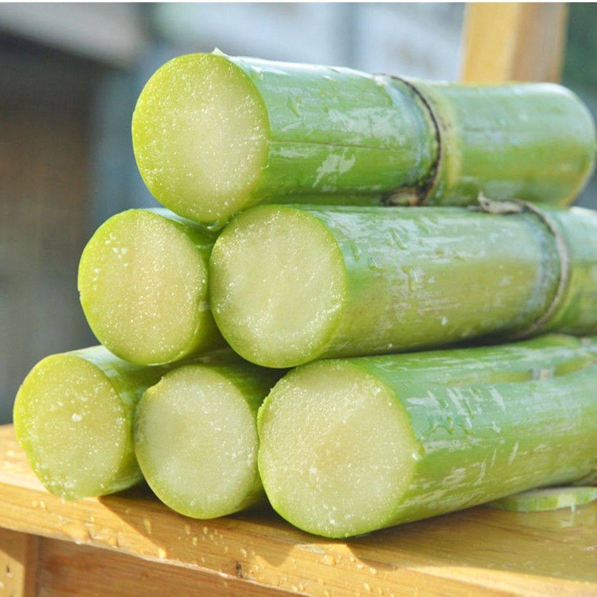 正宗广东黄金甘蔗皮薄肉厚脆甜多汁现砍现发2025当季时令孕妇水果,水产肉类/新鲜蔬果/熟食,甘蔗,淘宝优惠券,粉丝福利购,淘宝优惠卷