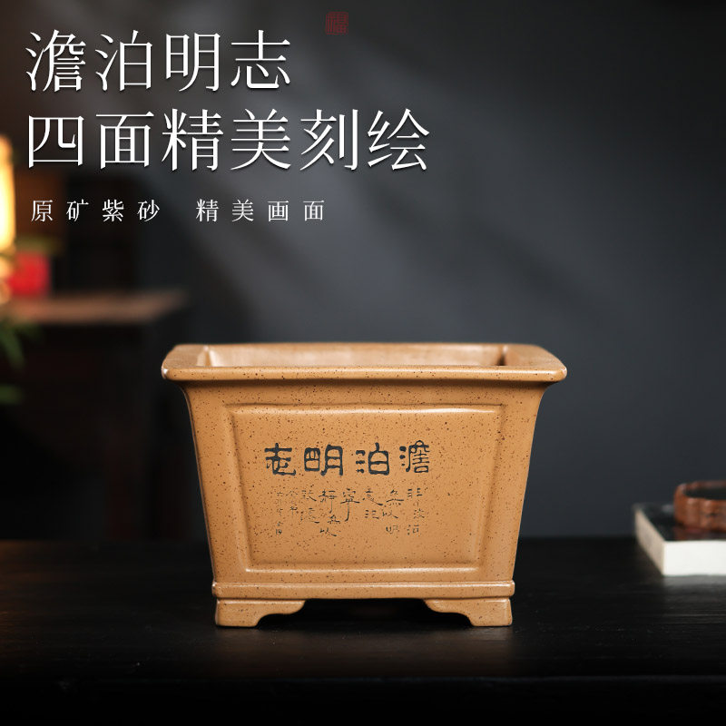 宜兴紫砂花盆四方盆景文竹金弹子客厅海棠榕树黑松老桩腊梅花卉盆