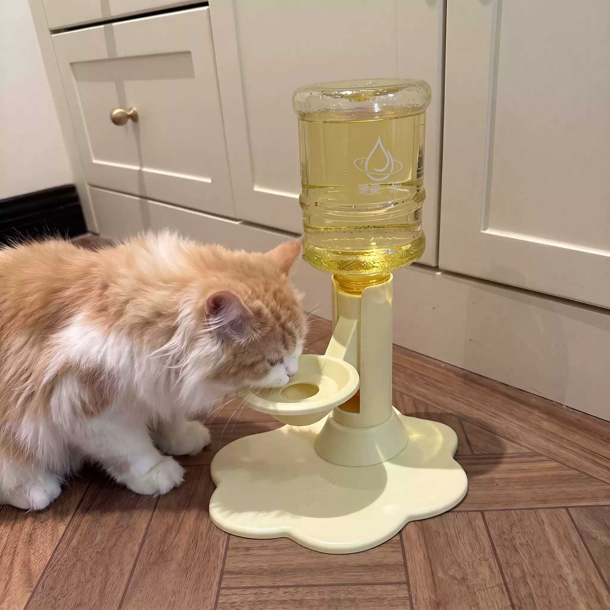 猫咪专用可调节防打翻宠物饮水机