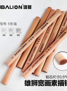 雄狮原木宽画笔 木工铅笔 扁形铅笔2B,4B,6B,8B