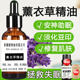 新疆天然薰衣草精油助睡眠香薰助眠痕去豆印修复肌面部护肤油