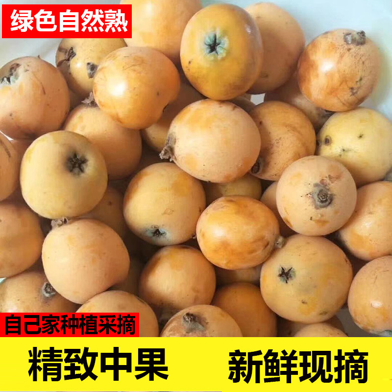 云南中果现摘当季新鲜水果孕妇枇杷自然熟甜琵琶果5斤整箱包邮