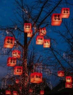户外防水防晒春节方形灯笼串橙色室外古风院子氛围布置树上挂饰灯