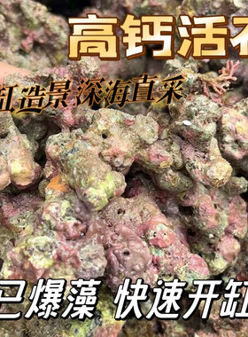免爆藻活石新鲜高钙片状海水过滤鱼缸珊瑚缸多孔微生物造景石