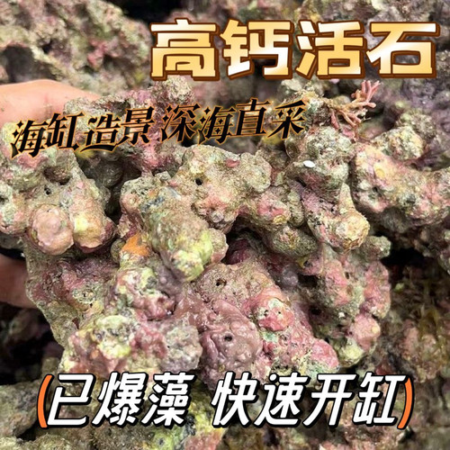 免爆藻活石新鲜高钙片状海水过滤鱼缸珊瑚缸多孔微生物造景石