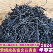 正宗云南紫娟生茶普洱紫娟茶叶2024年头春古树花青素茶叶珍稀品种