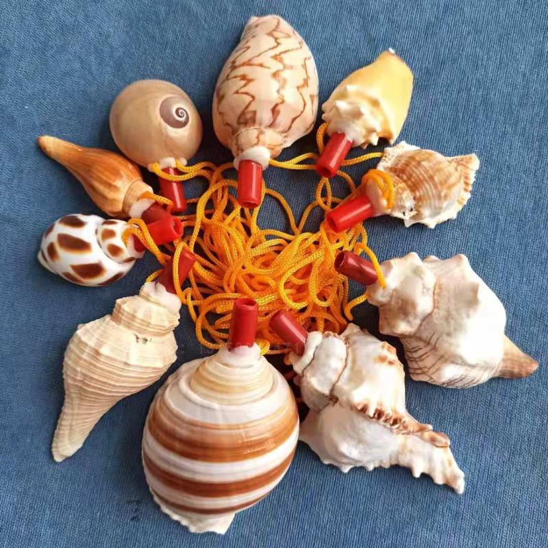 天然海螺号角可吹喇叭口哨超大海螺贝壳哨子儿童玩具哨小螺号吹响