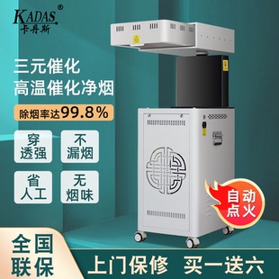 卡丹斯智能扶阳无烟透灸仪雷明火艾灸仪一体机美容院家用器具热敷
