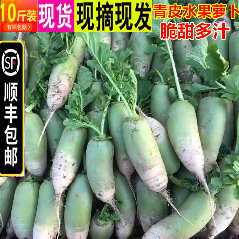 【顺丰包邮】新鲜采挖10斤水果萝卜青皮萝卜脆甜生吃绿皮绿心罗卜,水产肉类/新鲜蔬果/熟食,萝卜/胡萝卜,淘宝优惠券,粉丝福利购,淘宝优惠卷