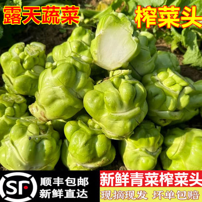 新鲜榨菜头青菜头菱角菜羊角菜