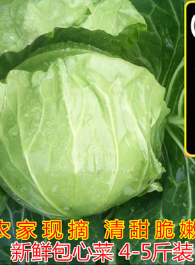 顺丰包邮农家新鲜包菜卷心菜 圆白菜 球甘蓝 洋白菜 包心菜2-5斤