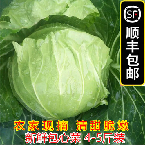 顺丰农家新鲜平包菜卷芯菜包心菜