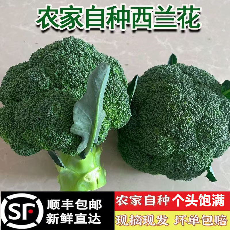 【顺丰包邮】农家新鲜西兰花绿花菜花椰菜蓝花菜应季节时令蔬菜,水产肉类/新鲜蔬果/熟食,西兰花/花菜,淘宝优惠券,粉丝福利购,淘宝优惠卷
