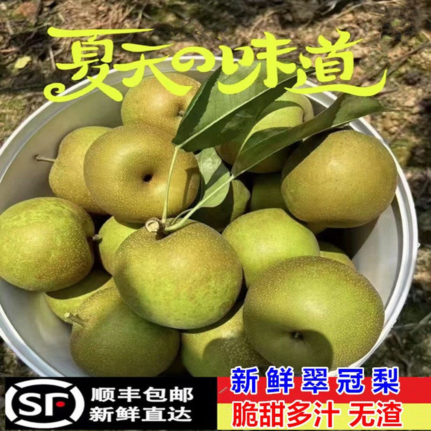 新鲜翠冠梨脆甜黄花梨沙梨青皮梨