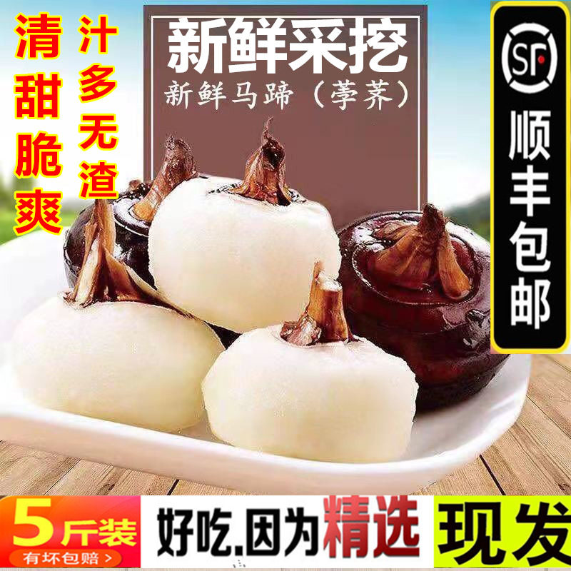 挖马蹄脆甜荸荠地栗乌芋菩荠水果