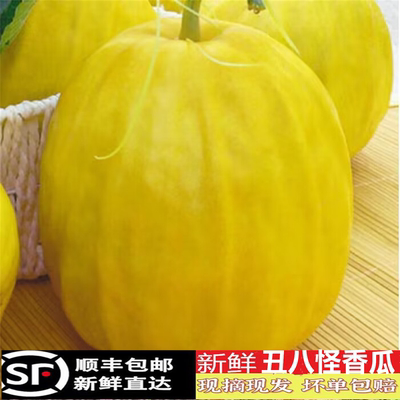 新鲜丑八怪香瓜脆甜瓜黄皮八方瓜