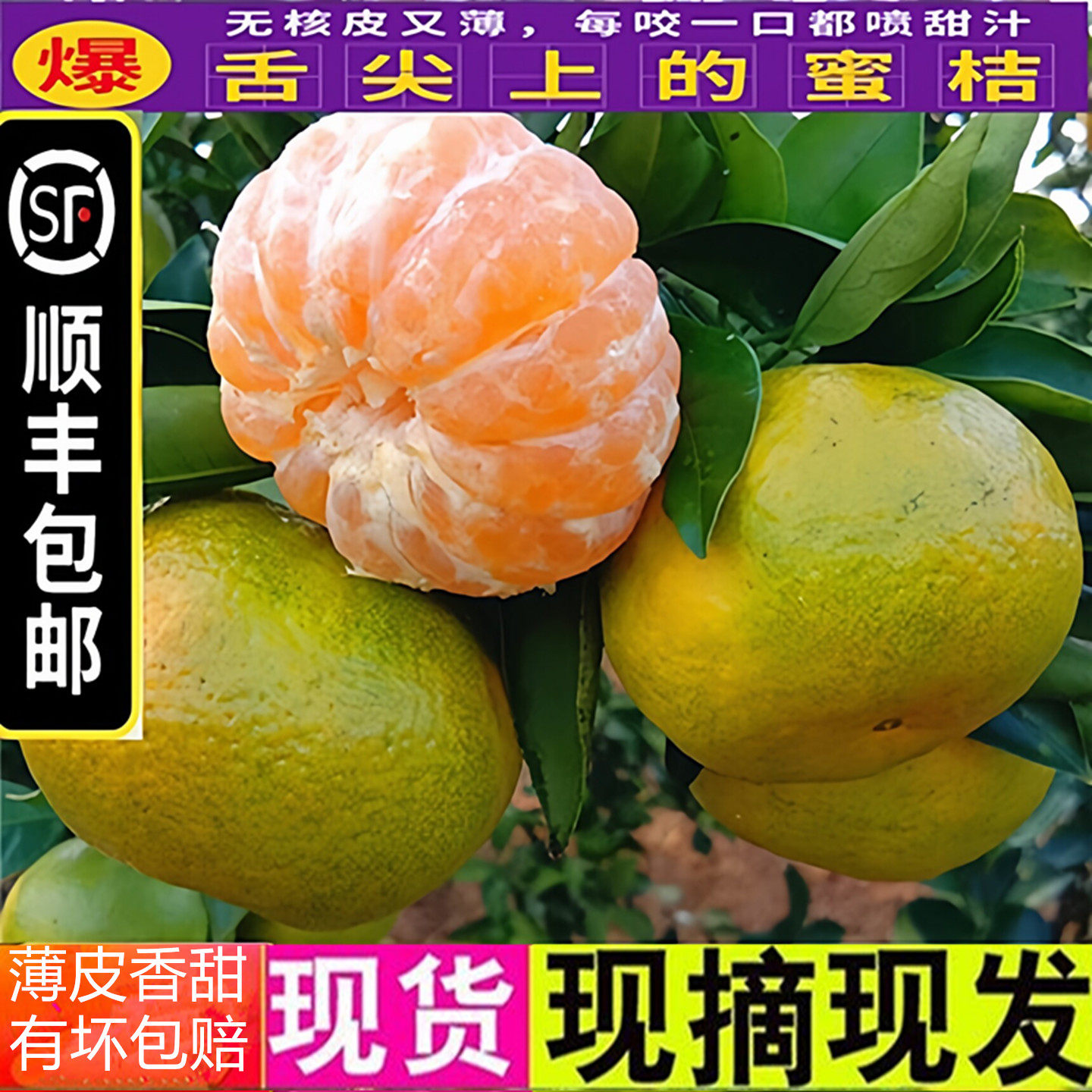 【顺丰包邮】湖北蜜桔青皮橘子新鲜桔子当季时令孕妇水果农家柑橘