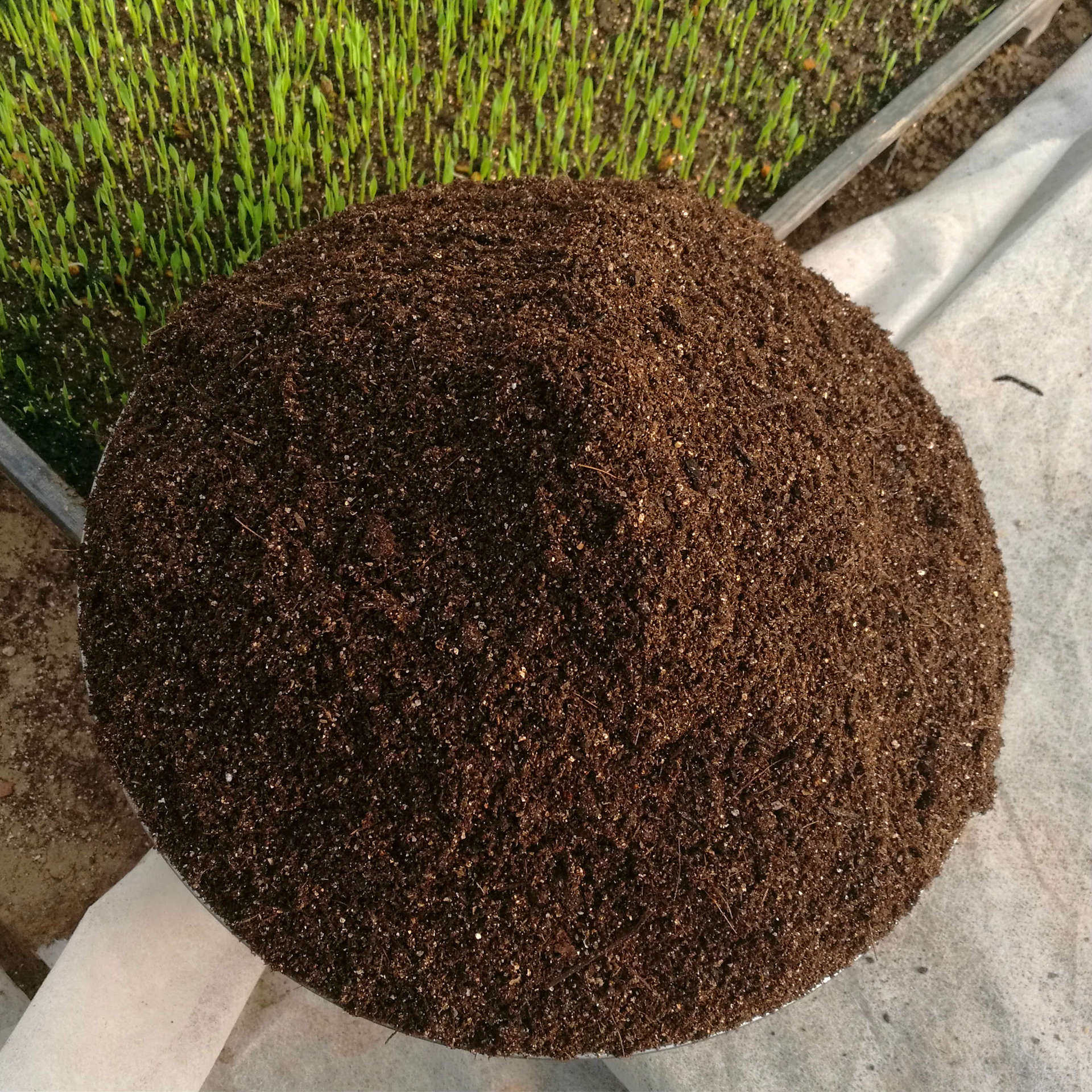 8水稻育秧基质育苗营养土漂浮育苗基质