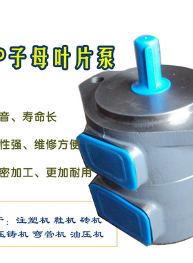 子母叶片泵SQP1/2/3/4-12-14-21-17-19-45-57-60-75-38-66高压泵