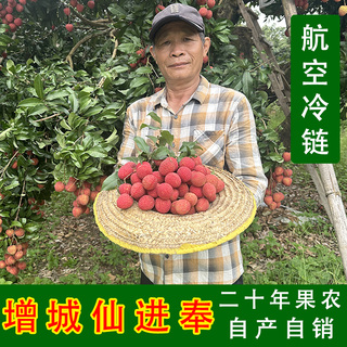 广东增城仙进奉荔枝新鲜包邮五斤空运小核大果靓货高端送礼精品