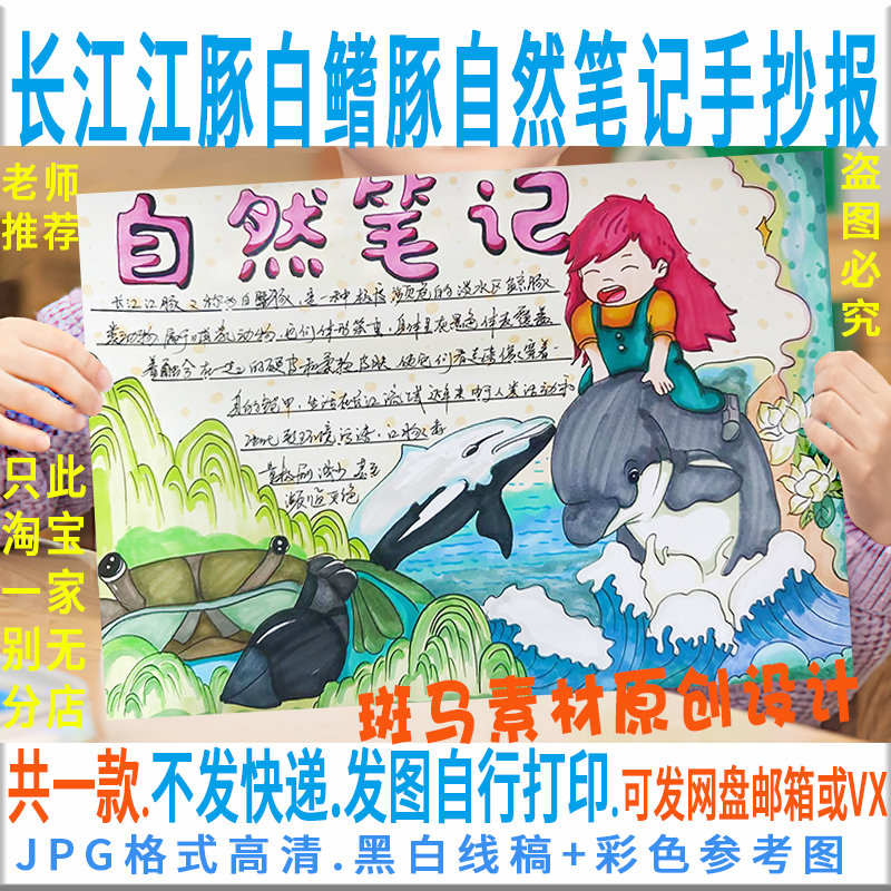 E198长江江豚白鳍豚自然笔记手抄报模板电子版黑白线稿描可涂色8K