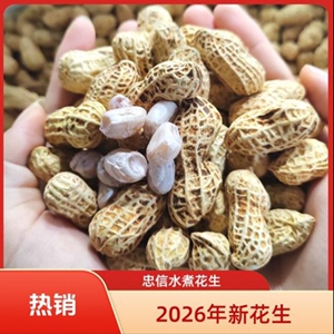 河源忠信特产水煮咸干花生客家休闲零食农家坚果带壳正宗水煮花生