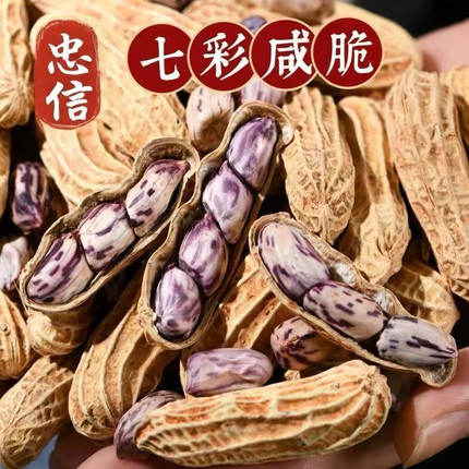 河源忠信七彩花生带壳熟酥脆花生农家特产送礼佳品休咸脆可口