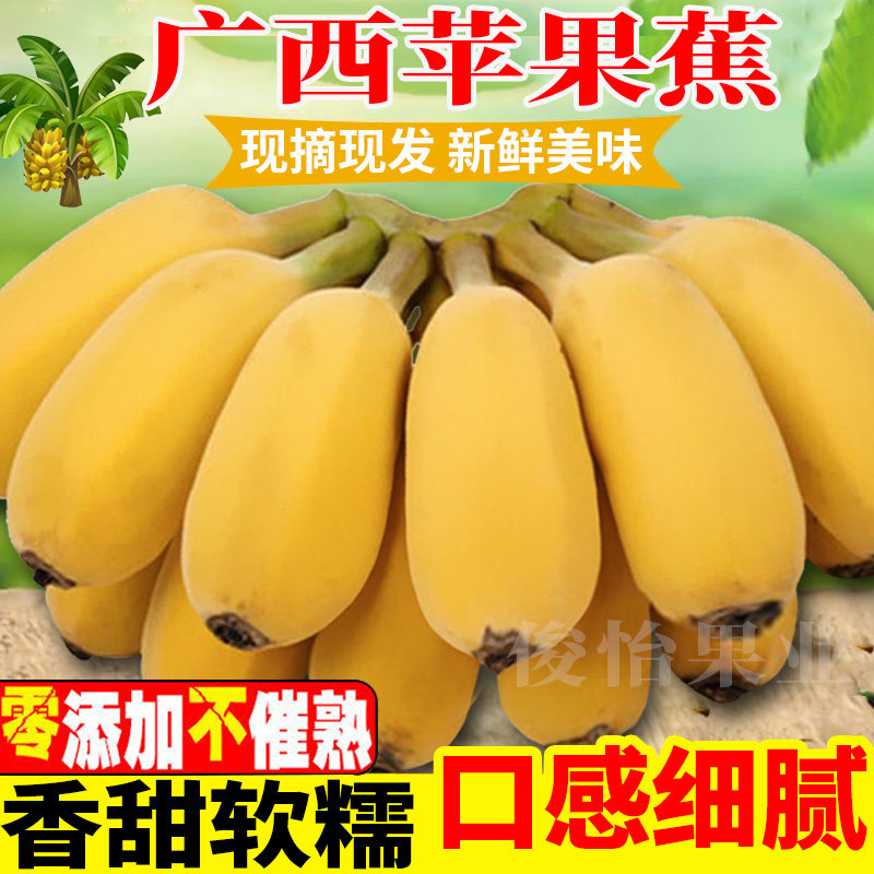 广西苹果蕉正宗9斤5斤产地直发时令香蕉新鲜水果2斤非小米蕉芭蕉,水产肉类/新鲜蔬果/熟食,香蕉,淘宝优惠券,粉丝福利购,淘宝优惠卷