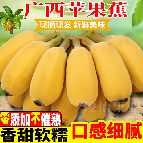 广西苹果蕉新鲜水果甜整箱批发5斤3斤当季时令新鲜水果粉蕉芭蕉