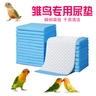 鹦鹉雏鸟垫料尿不湿保温箱饲养尿垫屎兜牡丹半毛玄凤和尚幼鸟笼子