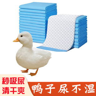 宠物小鸭子专用尿不湿尿垫尿片尿布柯尔鸭柯达鸭专用笼子垫料用品