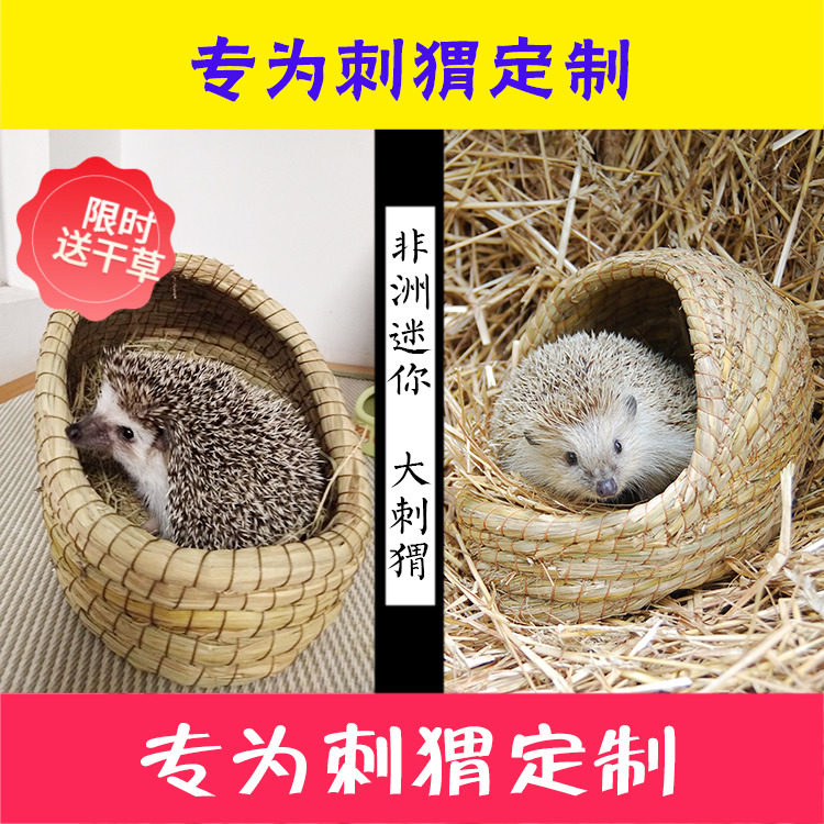 宠物刺猬窝非洲迷你躲避窝
